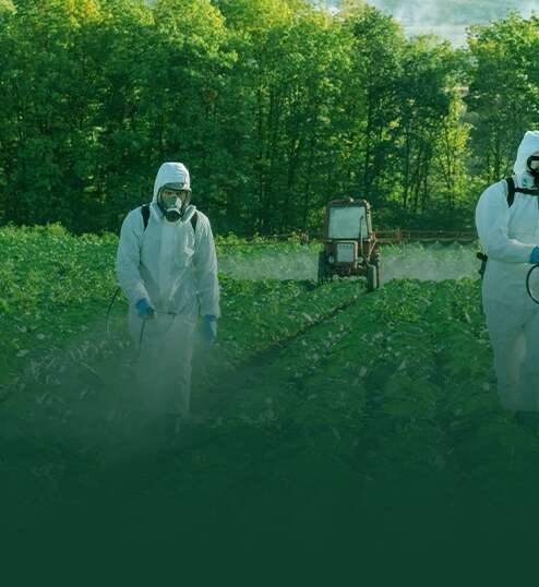 WhatsApp Image 2025-07-14 at 4.37.32 PM (2)