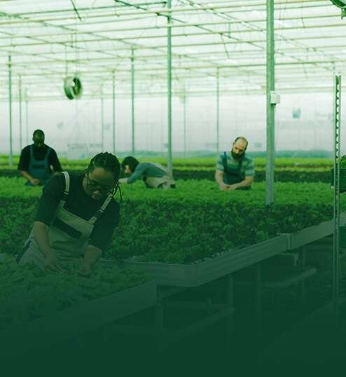 WhatsApp Image 2025-07-14 at 4.37.32 PM (3)