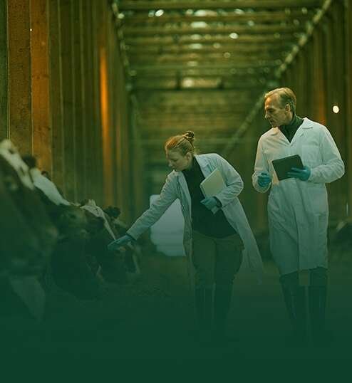 WhatsApp Image 2025-07-14 at 4.37.32 PM (4)